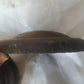 BMW  E21 plato superior modelo  "SLIM" REF 31331109445